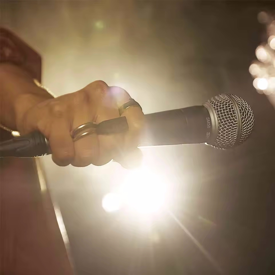 Karaoke Dynamic Microphone Pro - огляд і ціна Shure Mic Sm58